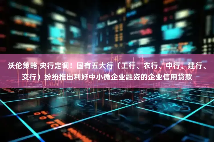 沃伦策略 央行定调！国有五大行（工行、农行、中行、建行、交行）纷纷推出利好中小微企业融资的企业信用贷款