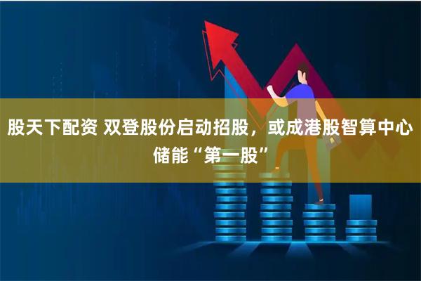 股天下配资 双登股份启动招股，或成港股智算中心储能“第一股”