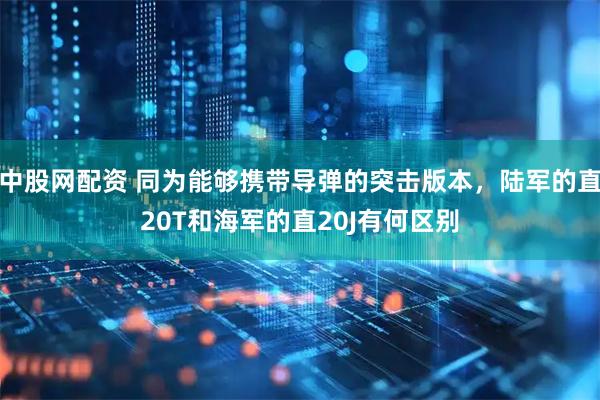 中股网配资 同为能够携带导弹的突击版本，陆军的直20T和海军的直20J有何区别
